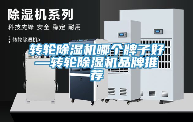 轉輪榴莲视频官网APP哪個牌子好—轉輪榴莲视频官网APP品牌推薦
