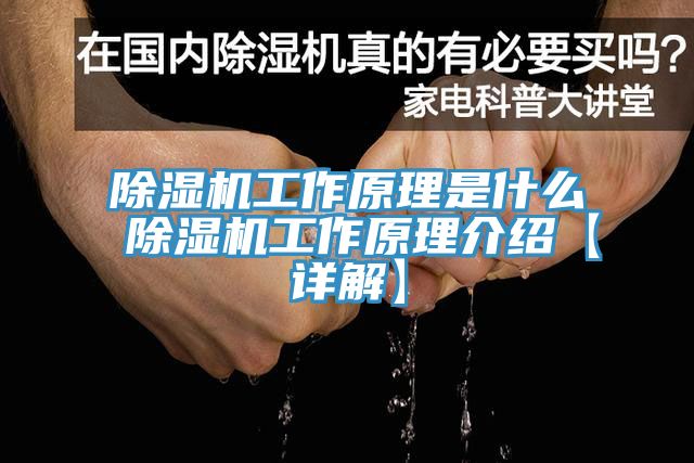 榴莲视频官网APP工作原理是什麽 榴莲视频官网APP工作原理介紹【詳解】