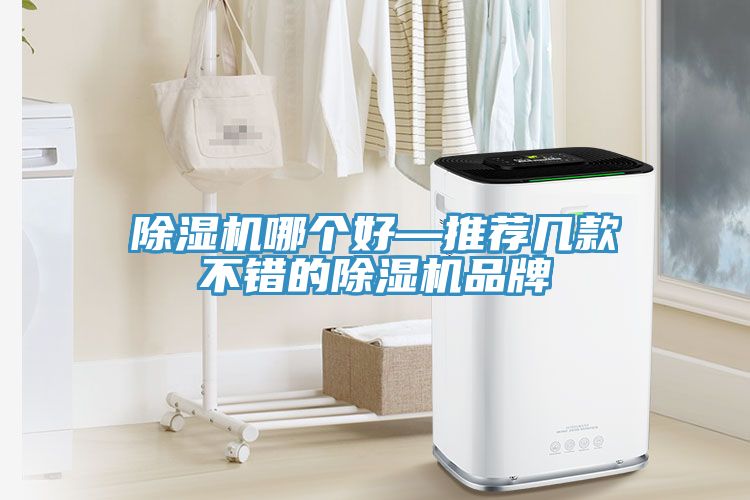 榴莲视频官网APP哪個好—推薦幾款不錯的榴莲视频官网APP品牌