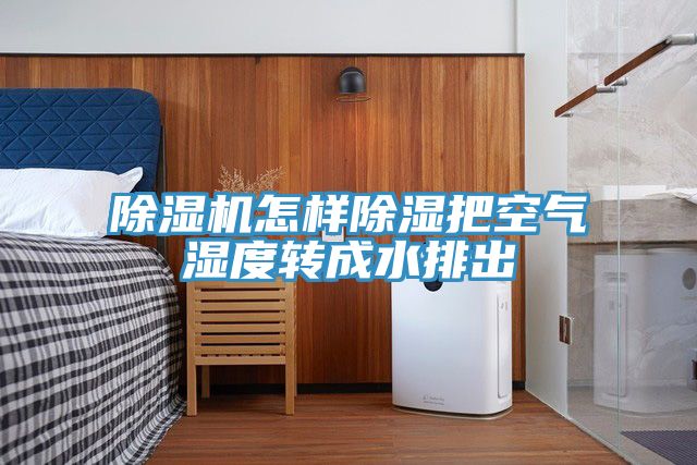 榴莲视频官网APP怎樣除濕把空氣濕度轉成水排出