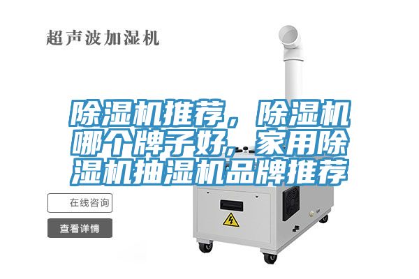 榴莲视频官网APP推薦，榴莲视频官网APP哪個牌子好, 家用榴莲视频官网APP抽濕機品牌推薦