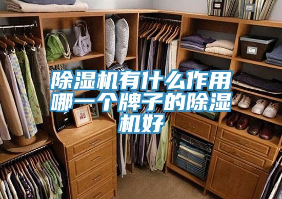 榴莲视频官网APP有什麽作用哪一個牌子的榴莲视频官网APP好