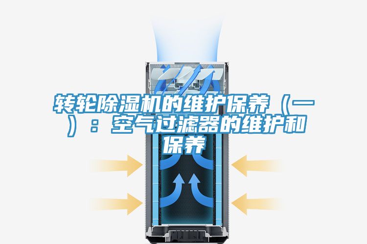 轉輪榴莲视频官网APP的維護保養（一）：空氣過濾器的維護和保養