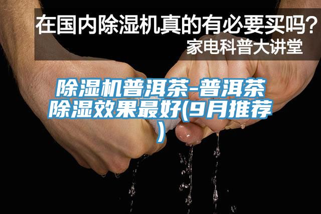 榴莲视频官网APP普洱茶-普洱茶除濕效果最好(9月推薦)