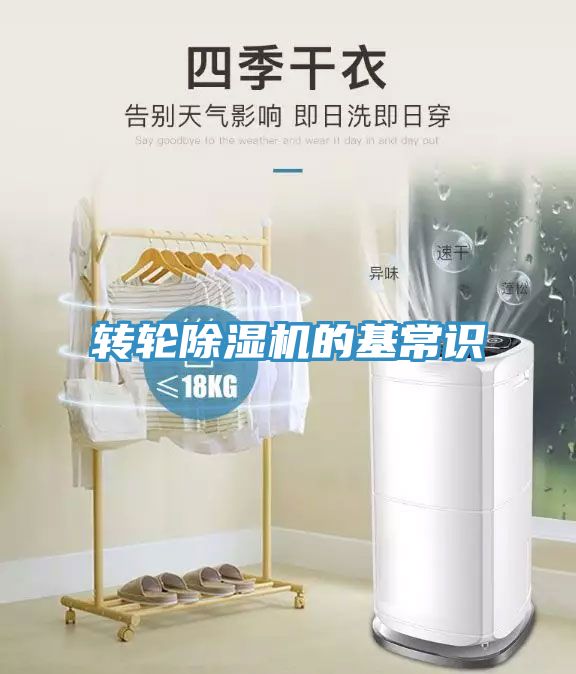 轉輪榴莲视频官网APP的基常識