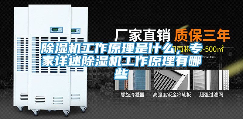 榴莲视频官网APP工作原理是什麽，專家詳述榴莲视频官网APP工作原理有哪些
