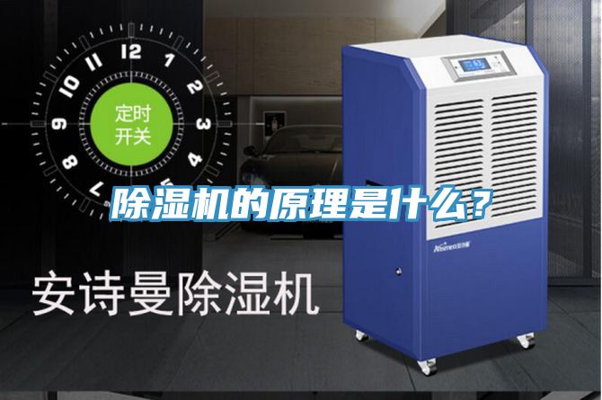 榴莲视频官网APP的原理是什麽？