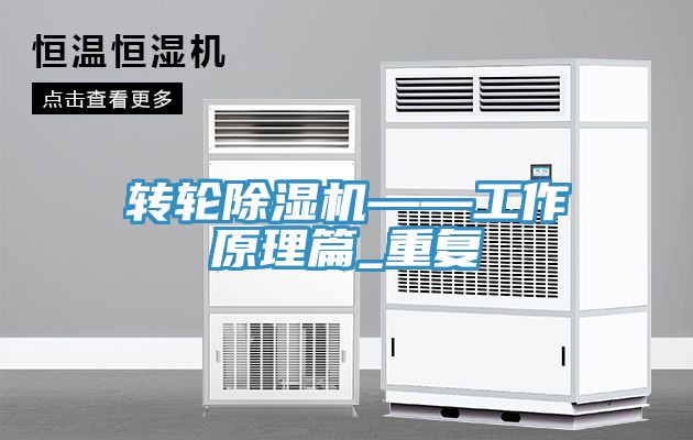 轉輪榴莲视频官网APP——工作原理篇_重複