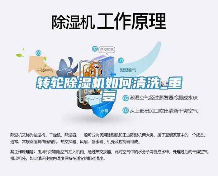 轉輪榴莲视频官网APP如何清洗_重複