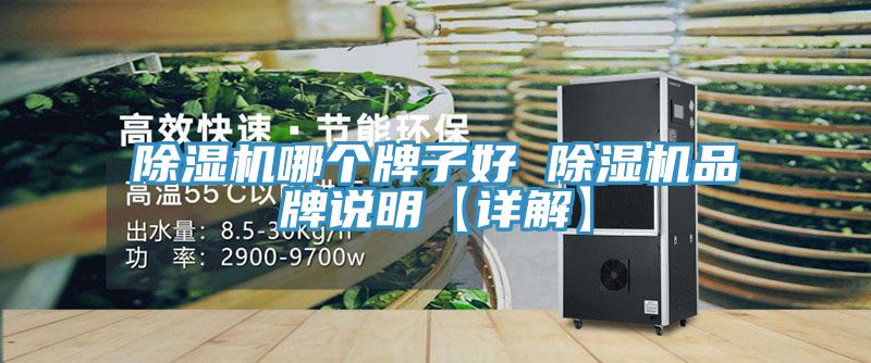 榴莲视频官网APP哪個牌子好 榴莲视频官网APP品牌說明【詳解】
