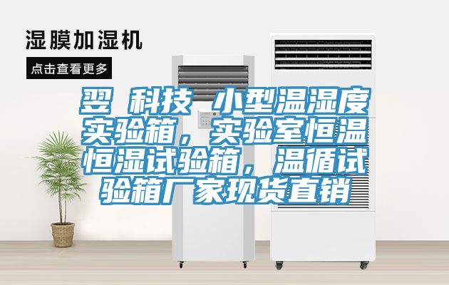翌昇科技 小型溫濕度實驗箱，實驗室恒溫恒濕試驗箱，溫循試驗箱廠家現貨直銷
