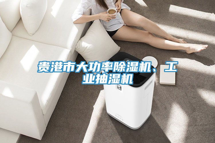 貴港市大功率榴莲视频官网APP、工業抽濕機