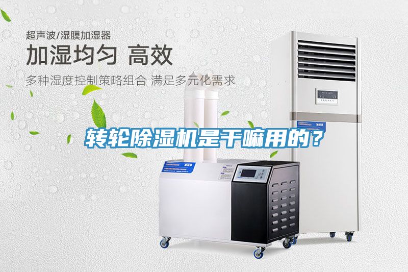 轉輪榴莲视频官网APP是幹嘛用的？