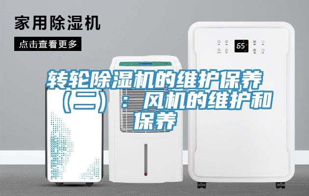 轉輪榴莲视频官网APP的維護保養（二）：風機的維護和保養