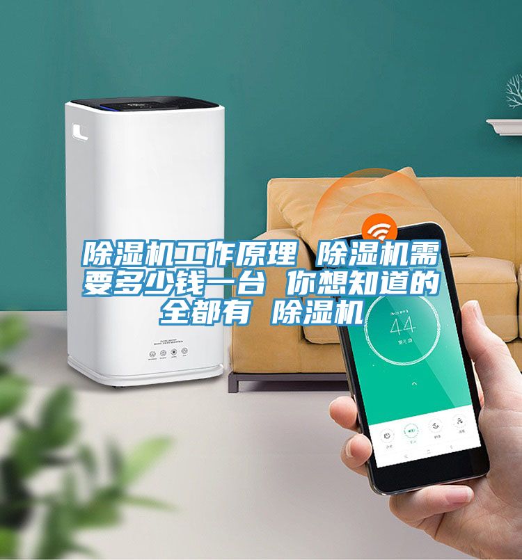 榴莲视频官网APP工作原理 榴莲视频官网APP需要多少錢一台 你想知道的全都有 榴莲视频官网APP