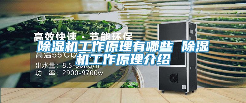 榴莲视频官网APP工作原理有哪些 榴莲视频官网APP工作原理介紹