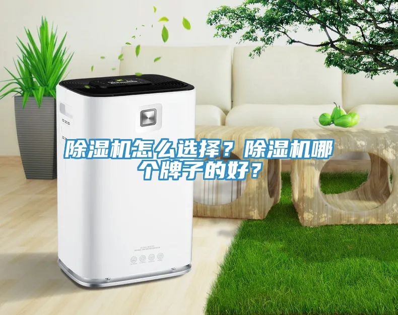 榴莲视频官网APP怎麽選擇？榴莲视频官网APP哪個牌子的好？