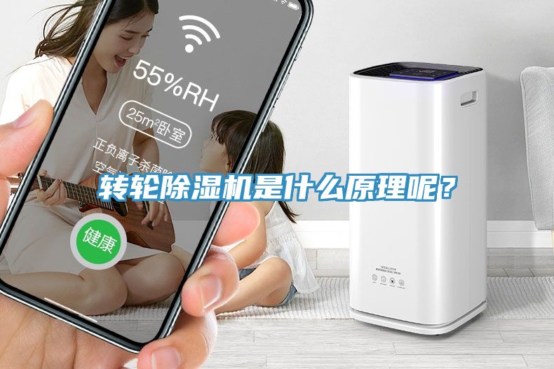 轉輪榴莲视频官网APP是什麽原理呢？