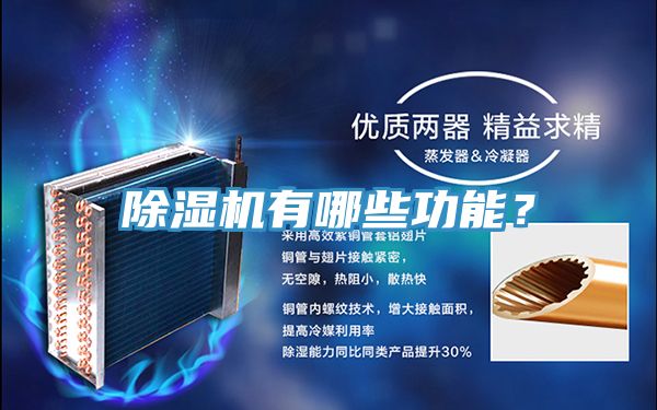 榴莲视频官网APP有哪些功能？