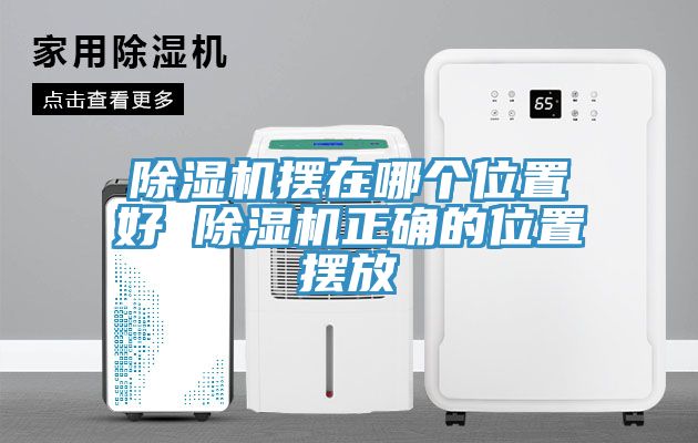 榴莲视频官网APP擺在哪個位置好 榴莲视频官网APP正確的位置擺放