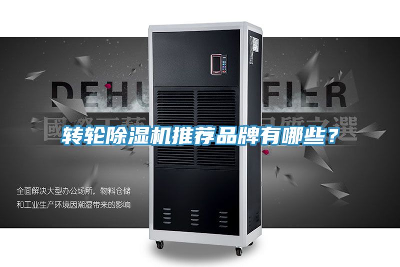 轉輪榴莲视频官网APP推薦品牌有哪些？