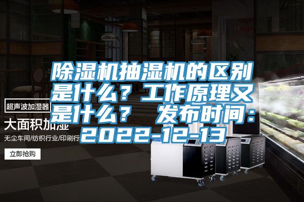 榴莲视频官网APP抽濕機的區別是什麽？工作原理又是什麽？ 發布時間：2022-12-13