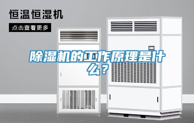 榴莲视频官网APP的工作原理是什麽？