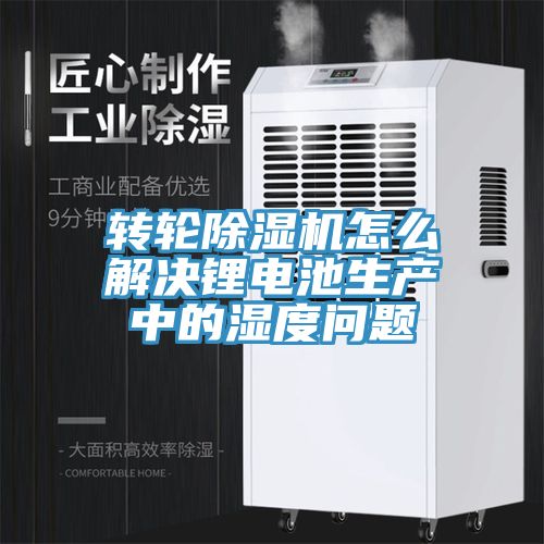 轉輪榴莲视频官网APP怎麽解決鋰電池生產中的濕度問題