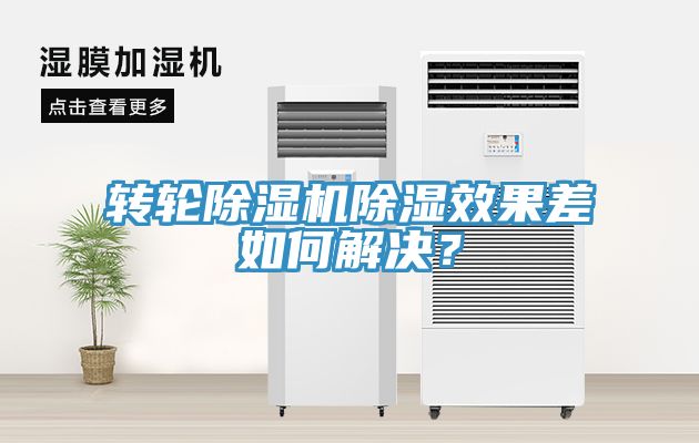 轉輪榴莲视频官网APP除濕效果差如何解決？