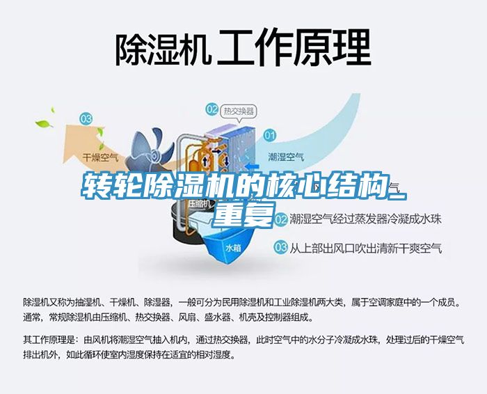 轉輪榴莲视频官网APP的核心結構_重複