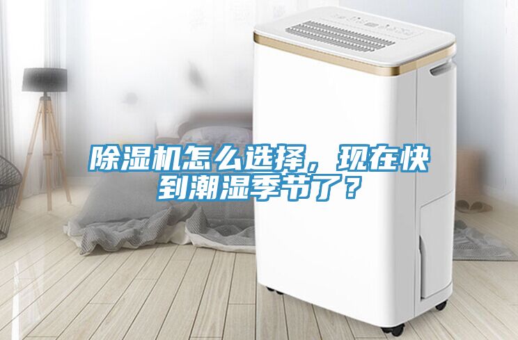 榴莲视频官网APP怎麽選擇，現在快到潮濕季節了？