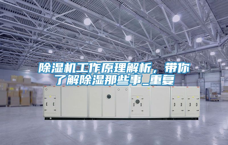 榴莲视频官网APP工作原理解析，帶你了解除濕那些事_重複