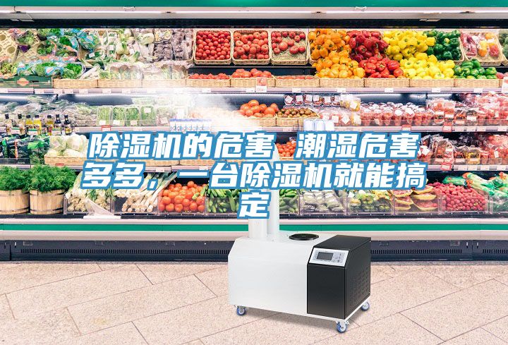 榴莲视频官网APP的危害 潮濕危害多多，一台榴莲视频官网APP就能搞定