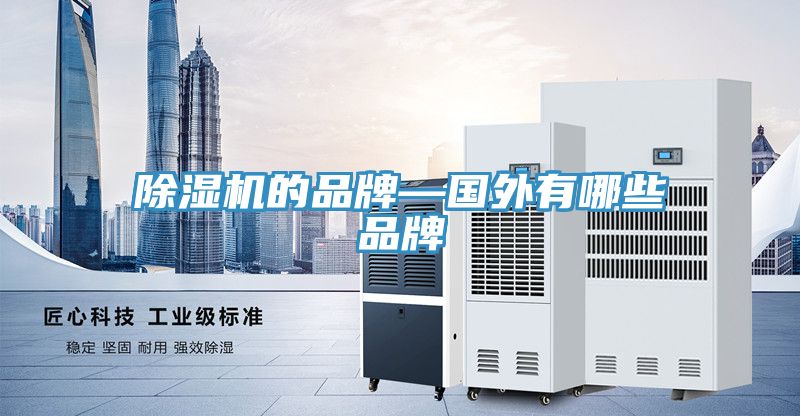 榴莲视频官网APP的品牌—國外有哪些品牌