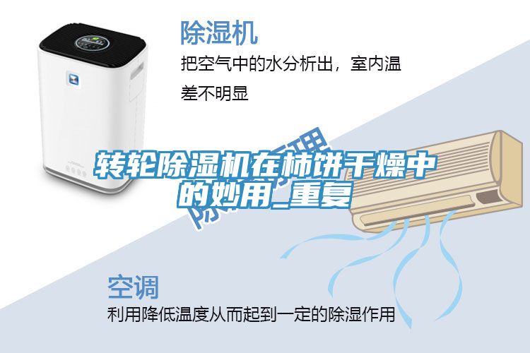 轉輪榴莲视频官网APP在柿餅幹燥中的妙用_重複