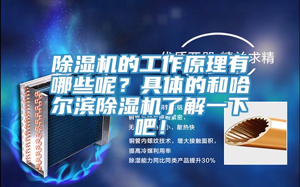 榴莲视频官网APP的工作原理有哪些呢？具體的和哈爾濱榴莲视频官网APP了解一下吧！