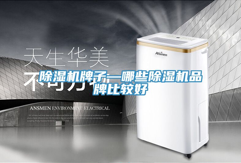 榴莲视频官网APP牌子—哪些榴莲视频官网APP品牌比較好