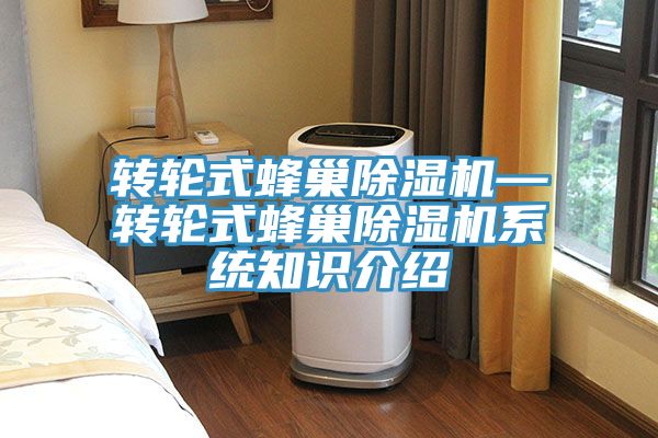 轉輪式蜂巢榴莲视频官网APP—轉輪式蜂巢榴莲视频官网APP係統知識介紹