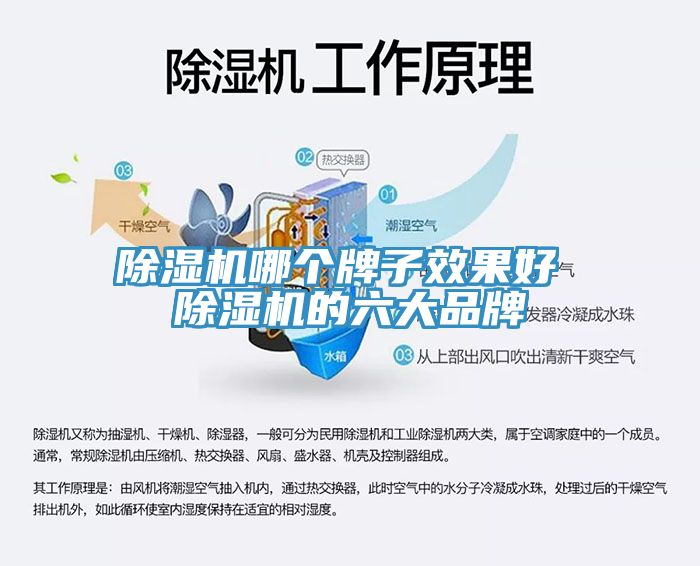 榴莲视频官网APP哪個牌子效果好 榴莲视频官网APP的六大品牌