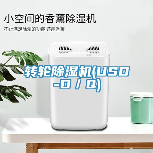 轉輪榴莲视频官网APP(USD-D／Q)