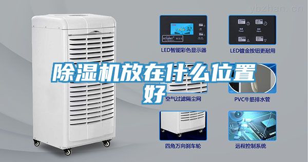 榴莲视频官网APP放在什麽位置好