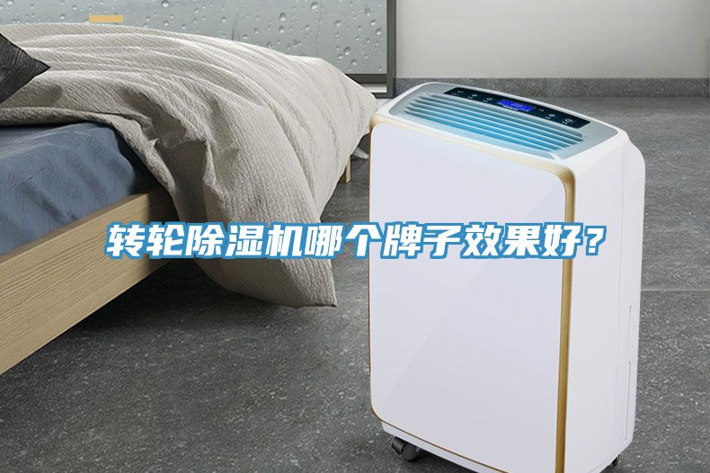 轉輪榴莲视频官网APP哪個牌子效果好？