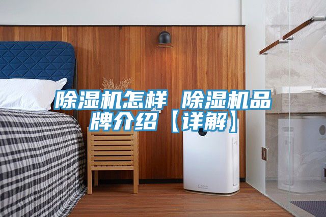 榴莲视频官网APP怎樣 榴莲视频官网APP品牌介紹【詳解】