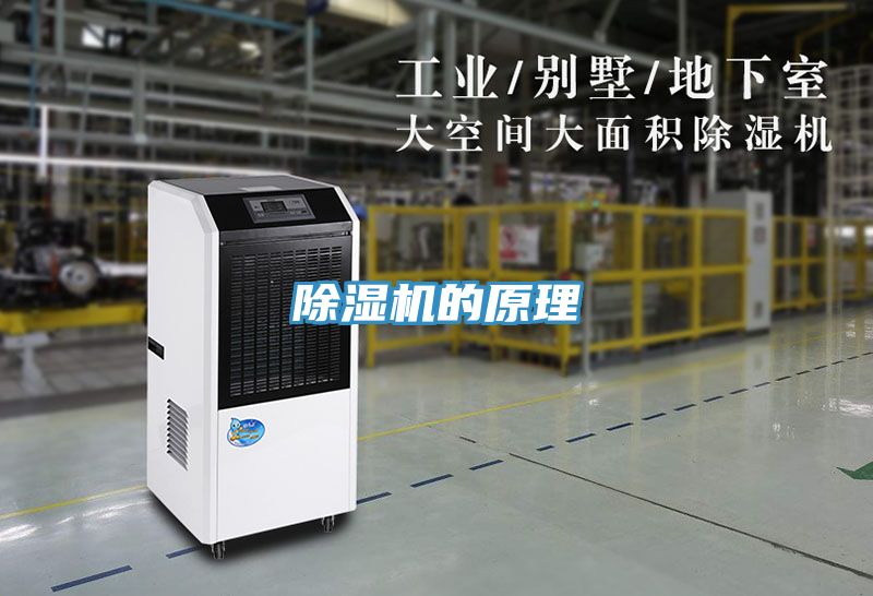 榴莲视频官网APP的原理