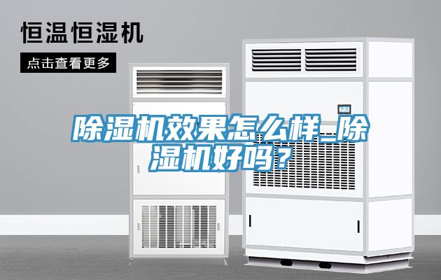 榴莲视频官网APP效果怎麽樣_榴莲视频官网APP好嗎？