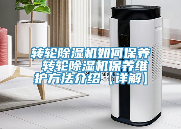轉輪榴莲视频官网APP如何保養 轉輪榴莲视频官网APP保養維護方法介紹【詳解】
