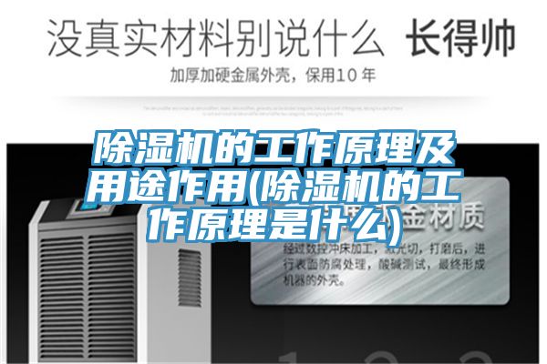 榴莲视频官网APP的工作原理及用途作用(榴莲视频官网APP的工作原理是什麽)