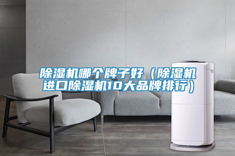 榴莲视频官网APP哪個牌子好（榴莲视频官网APP進口榴莲视频官网APP10大品牌排行）