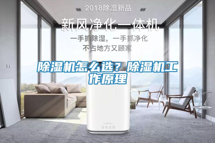榴莲视频官网APP怎麽選？榴莲视频官网APP工作原理