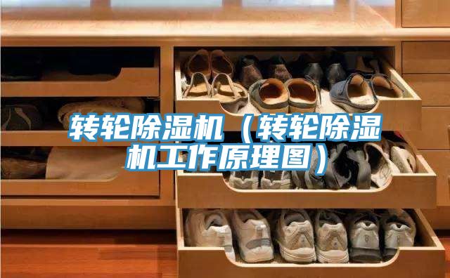 轉輪榴莲视频官网APP（轉輪榴莲视频官网APP工作原理圖）